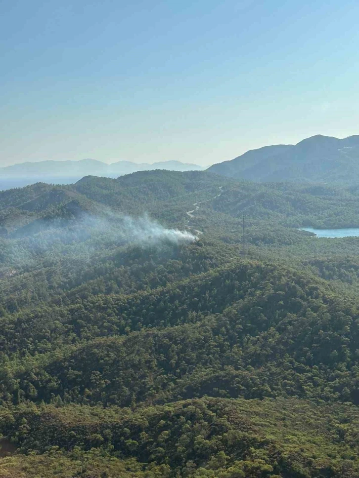 Muğla’da orman yangını
