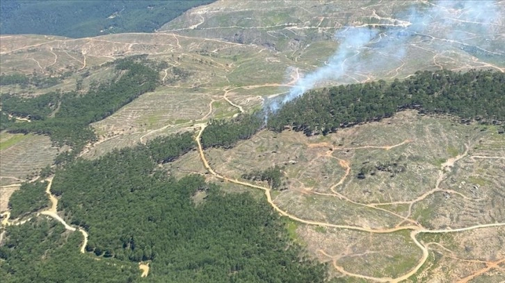 Muğla'da çıkan orman yangınına havadan ve karadan müdahale ediliyor