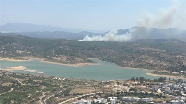 Muğla'nın Milas ilçesinde çıkan orman yangını kontrol altına alındı