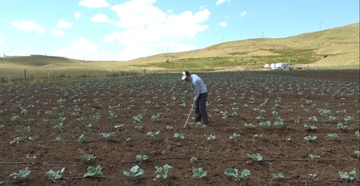 Muş’ta 30 yıl sonra bir ilk: Köylerine dönüp tarıma başladılar
