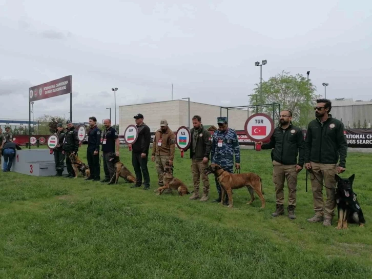 Narkotik Dedektör Köpekler Yarışması’nda Türkiye’yi temsil eden ’Nobel’ birinci oldu
