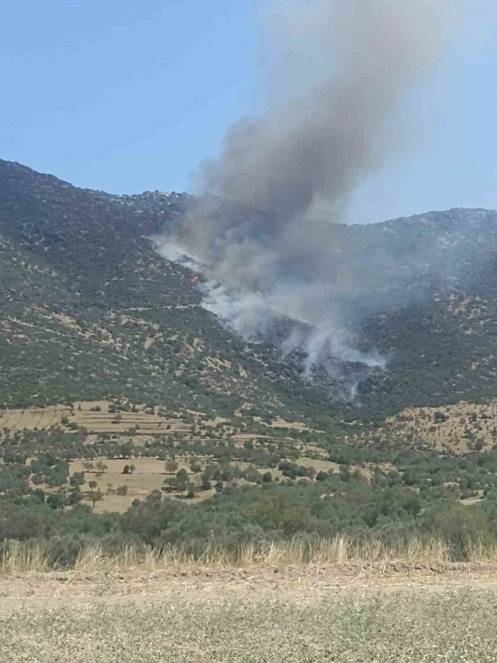 Nazilli’de makilik yangını
