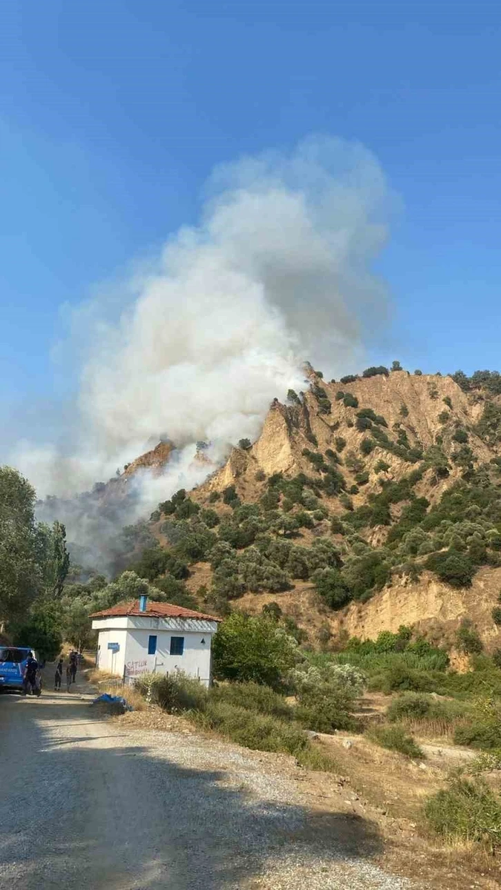 Nazilli’de zeytinlik alan yangını
