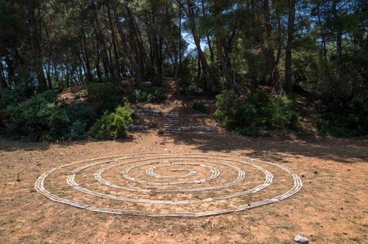 Olivelo Yaşayan Park’ta safari turları yarın başlıyor
