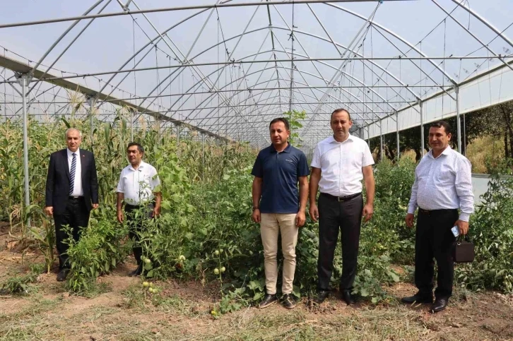 Oltu’da devlet destekli seralar çiftçilerin yüzünü güldürdü
