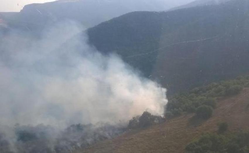 Bursa'da çıkan orman yangını söndürüldü