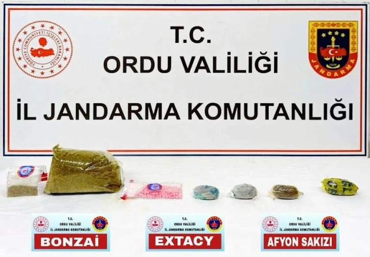 Ordu’da uyuşturucu operasyonu: 1 tutuklama
