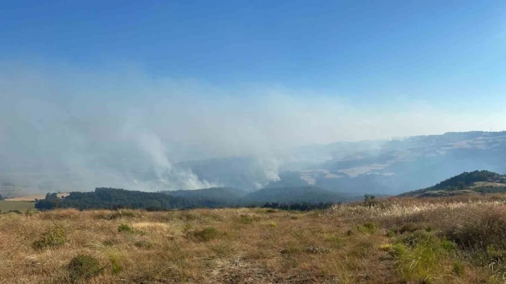 Orman yangını 18 saattir kontrol altına alınmaya çalışılıyor
