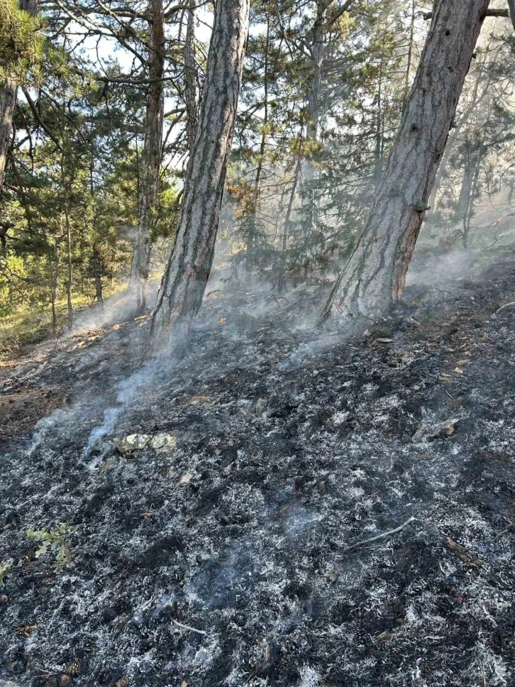 Ormanda yıldırım düşmesi sonucu çıkan yangın söndürüldü
