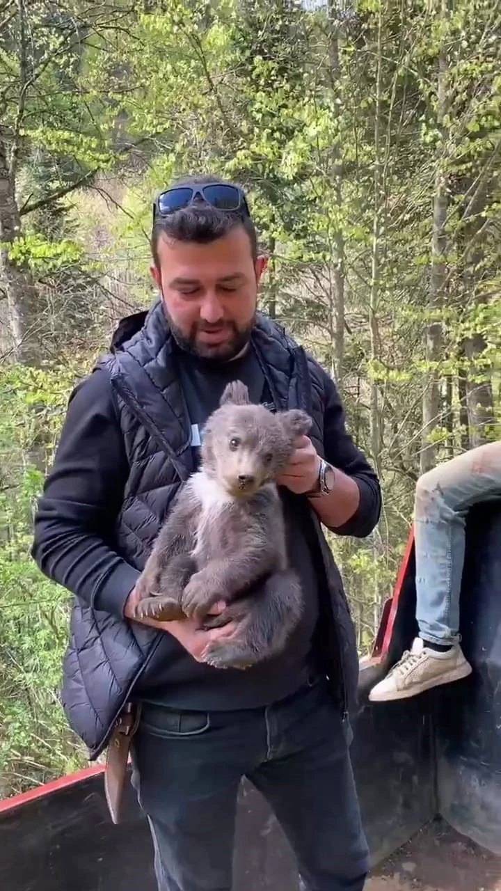 Ormandan şehre inen yavru ayı maskot oldu
