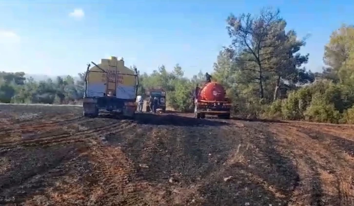 Ormanlık alanda başlayan yangın tarım arazisine sıçradı
