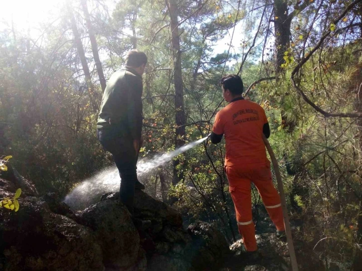 Ormanlık alanda çıkan yangın kontrol altına alındı
