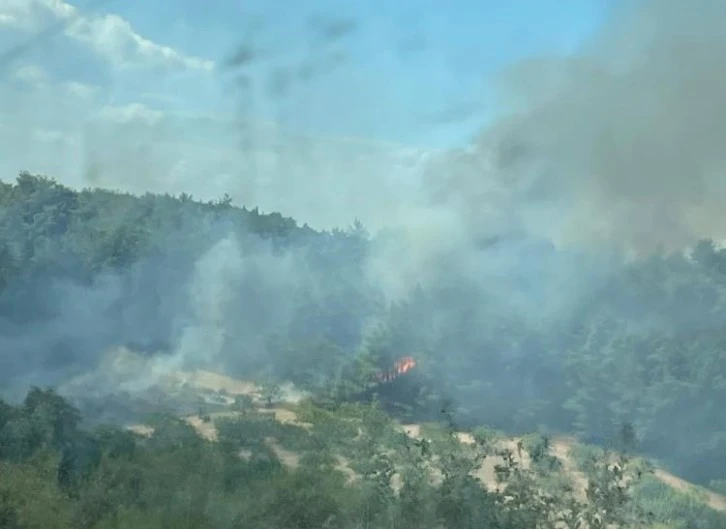 Bursa'daki orman yangınına 2 helikopter ve 6 araçla müdahale ediliyor