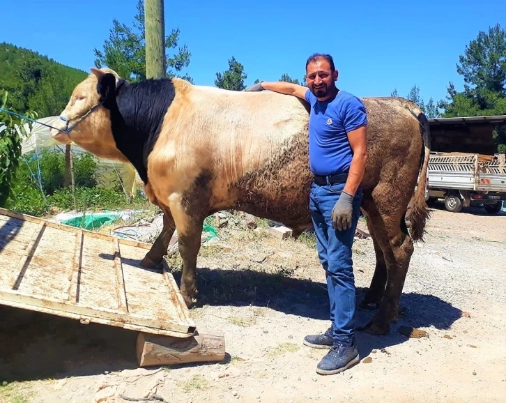 Orta refüje çıkan otomobil takla attı: 1 ölü, 1 yaralı
