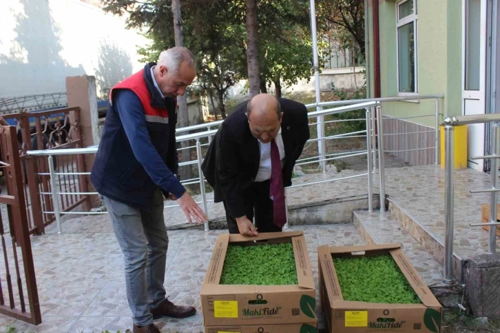 Osmaneli’nde 4 çiftçiye 10 bin 500 adet marul fidesi dağıtıldı
