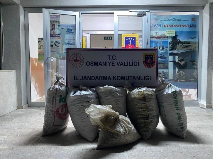 Osmaniye’de 300 kilo yerfıstığı çalan 2 şüpheli yakalandı
