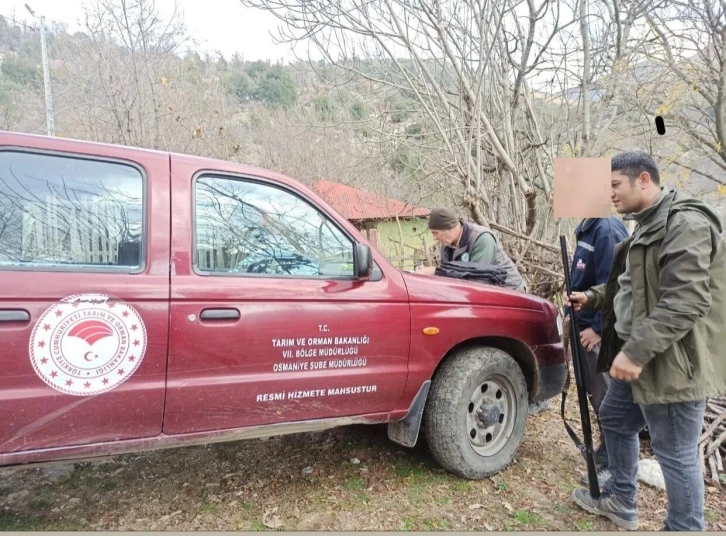 Osmaniye’de yasa dışı avcılıkla mücadele
