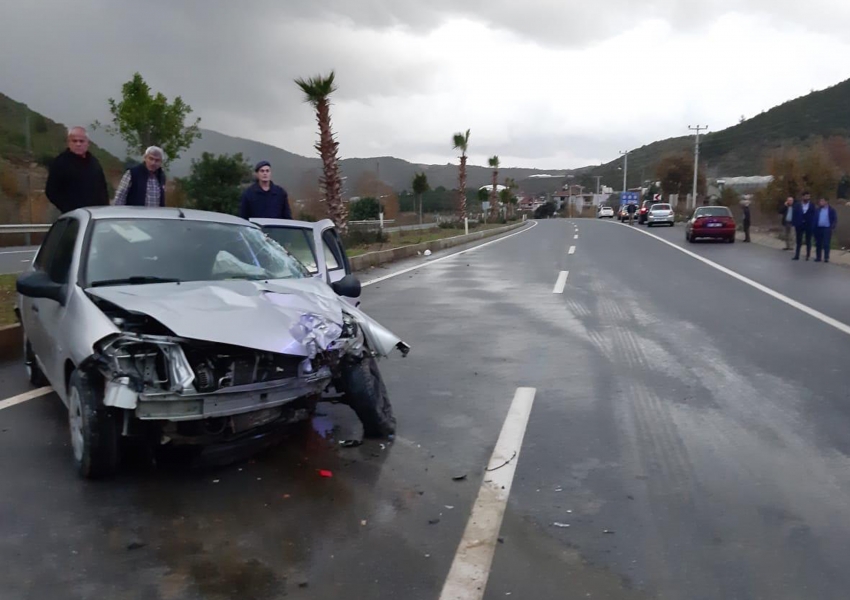 Palmiye ağacı Nevi Bebek'in sonu oldu