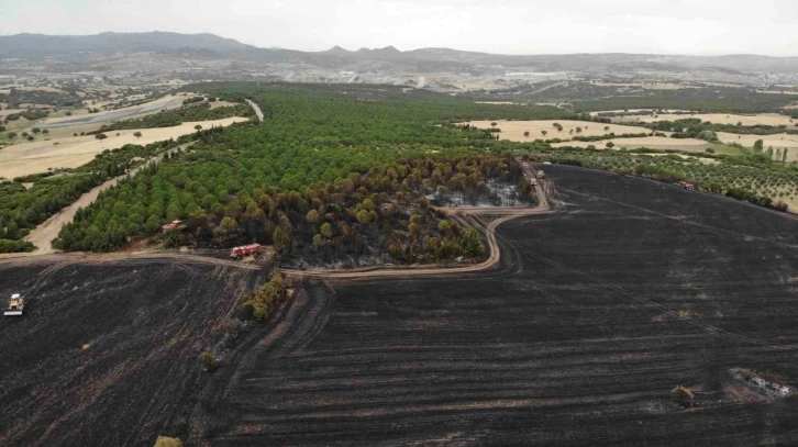 (Özel) Çanakkale’de bir ayda 132 yangın: 2 bin 625 futbol sahası büyüklüğünde orman yok oldu
