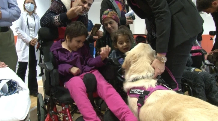 Özel eğitimli terapi köpekleri hastaların tedavisine destekte aktif rol oynayacak
