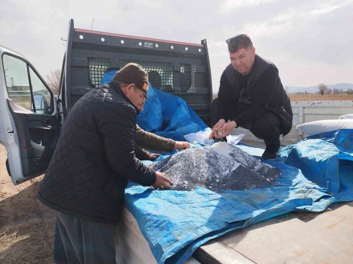 Fiyatı yükselişe geçince üreticiler bu yıl tarlalarına soğan ekmeye başladı