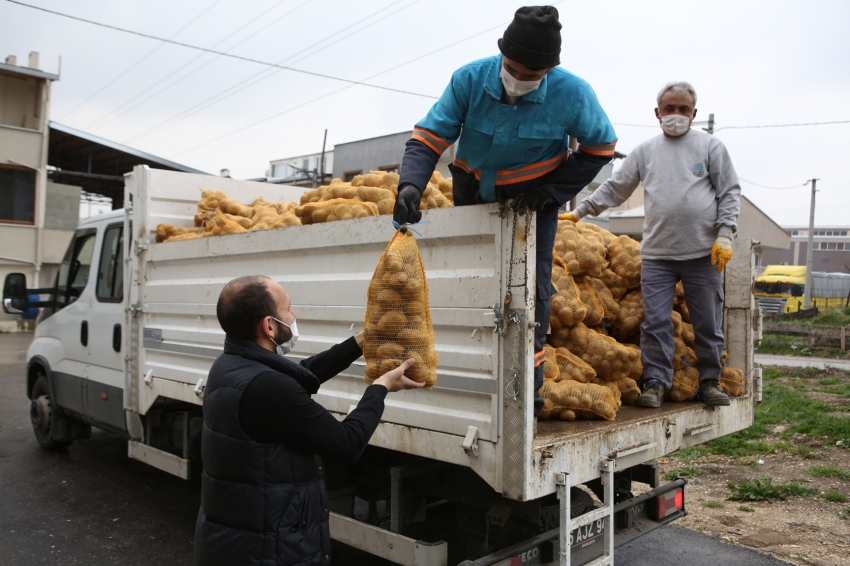 Nilüfer Belediyesi’nden patates üreticisine destek