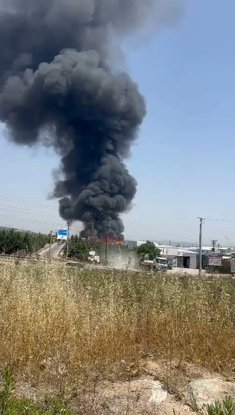 Palet fabrikası alev alev yanıyor
