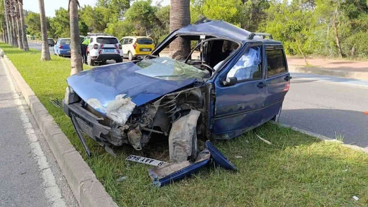 Palmiyeye çarpan araç sürücüsü hayatını kaybetti
