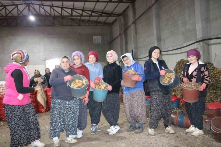 Patates işçisi kadınlar 8 Mart’ı işlerinin başında geçirdi