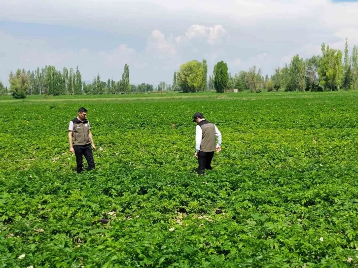 Patates üreticilerine bitki hastalıklarına karşı uyarı
