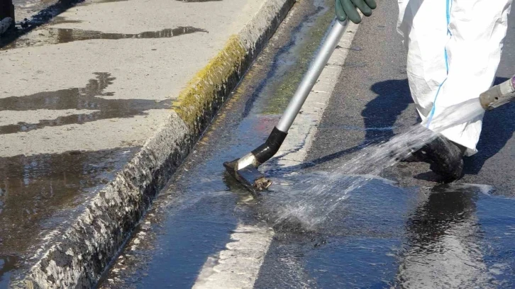 Pendik’te yola bırakılan kimyasal madde paniğe neden oldu
