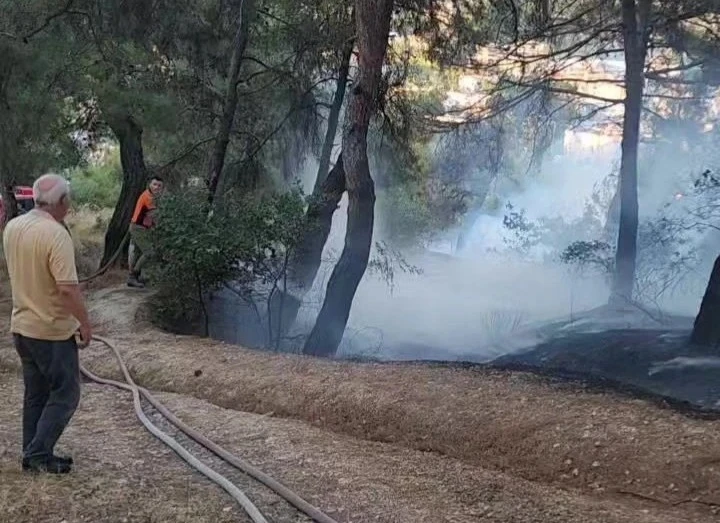 Piknik alanında çıkan yangın ormana sıçramadan söndürüldü