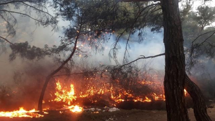 Bursa'da 18 saat süren orman yangını kontrol altına alındı