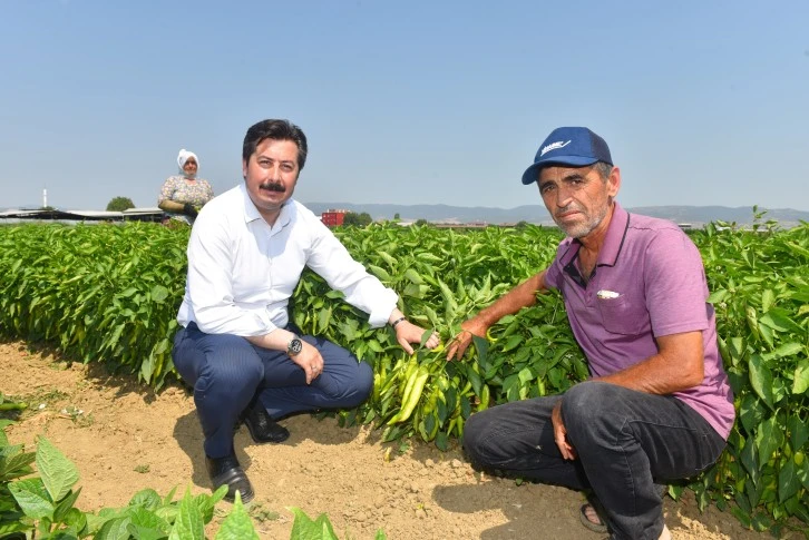 "Bursa Yenişehir biberinin marka değerini arttıracağız"