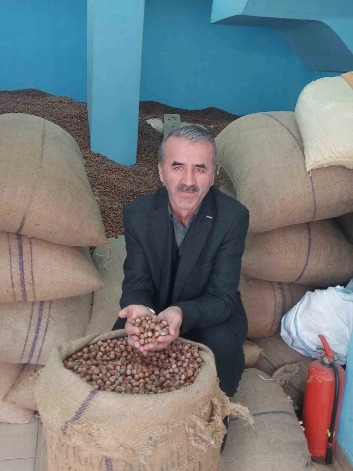 Rekolte düşüklüğü fındık üreticisini zora soktu
