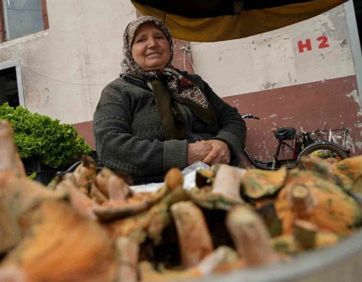 Sabriye teyzenin kanlıca mantarı mesaisi
