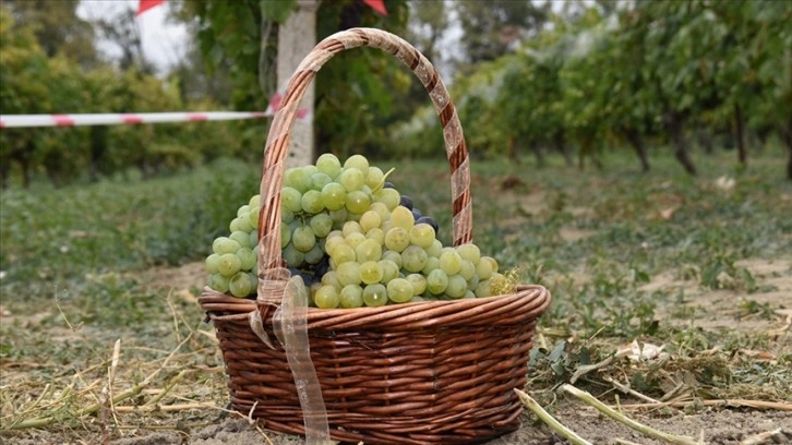 Safranbolu'da tescilli ürünler arasına giren 