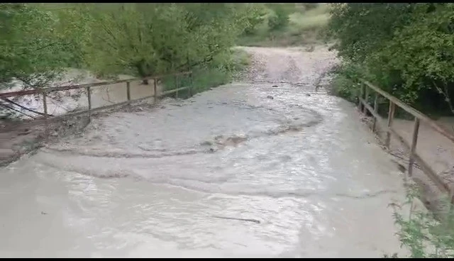 Sağanak yağış ekili arazileri sular altında bıraktı
