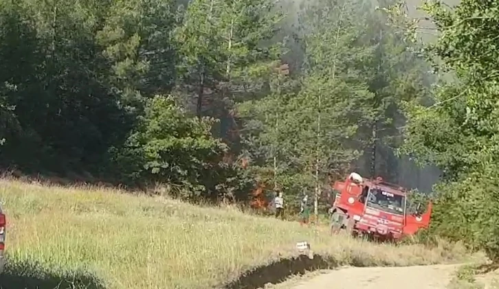 Sakarya’da orman yangınına havadan ve karadan müdahale sürüyor
