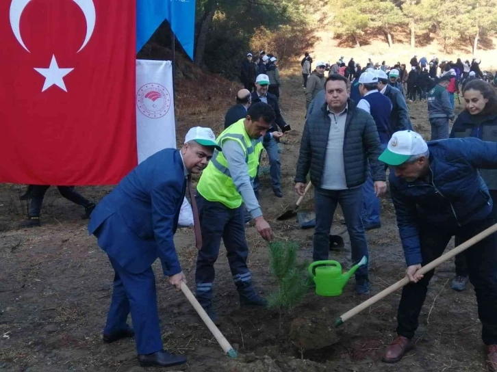 Salihli’de Öğretmenler Günü ağaç dikme etkinliği düzenlendi
