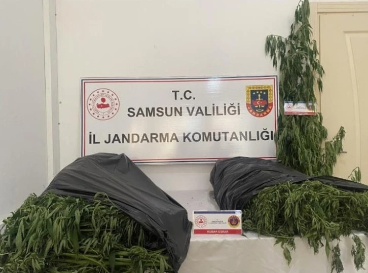 Samsun’da jandarmadan uyuşturucu operasyonu: 3 gözaltı
