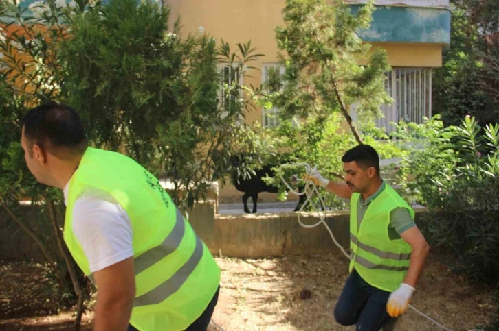 Şanlıurfa’da kaçan büyükbaş kurbanlık zor anlar yaşattı
