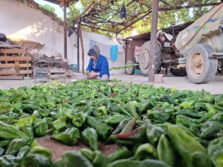 Sarıgöl’de kışlık yiyecek hazırlığına başlandı
