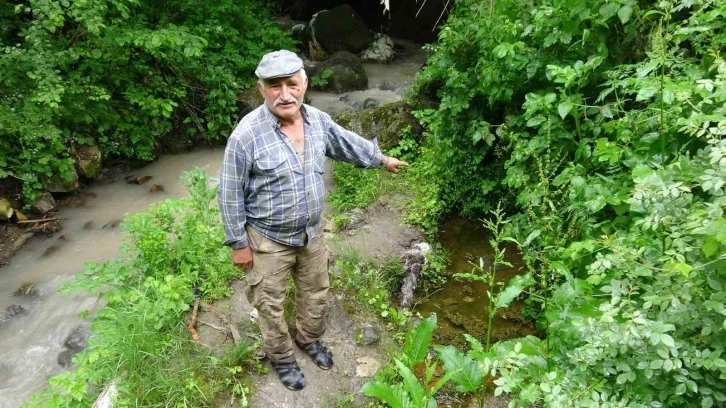 Sarılık hastaları bu suda şifa arıyor
