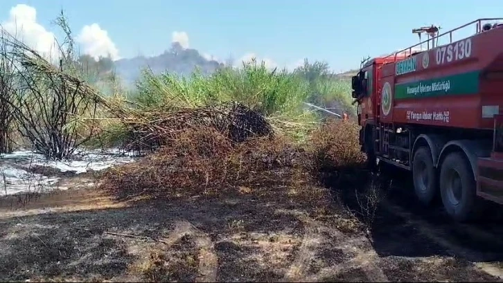 Sazlık yangını tarım arazileri ve mezarlığa ulaşmadan söndürüldü
