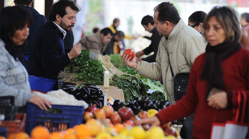 Fiyatlar yarı yarıya düştü