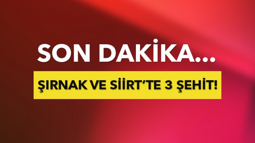 Şırnak ve Siirt'te 3 şehit