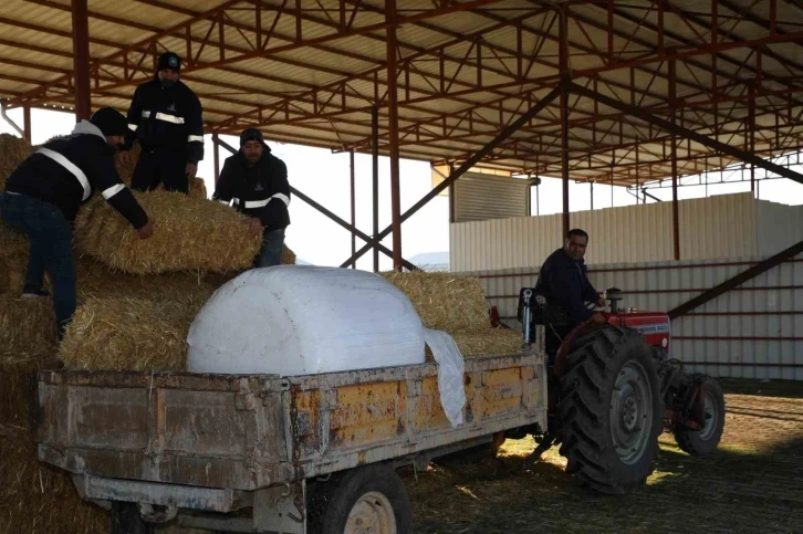 Şehzadeler Belediyesi tarım projesi ile üreticinin elini güçlendirdi
