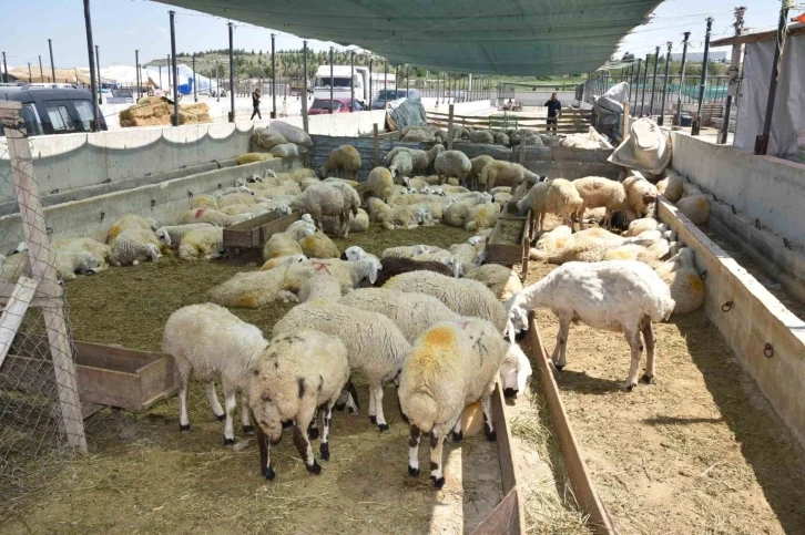 Selçuklu’da kurban satış ve kesim yerleri hazır
