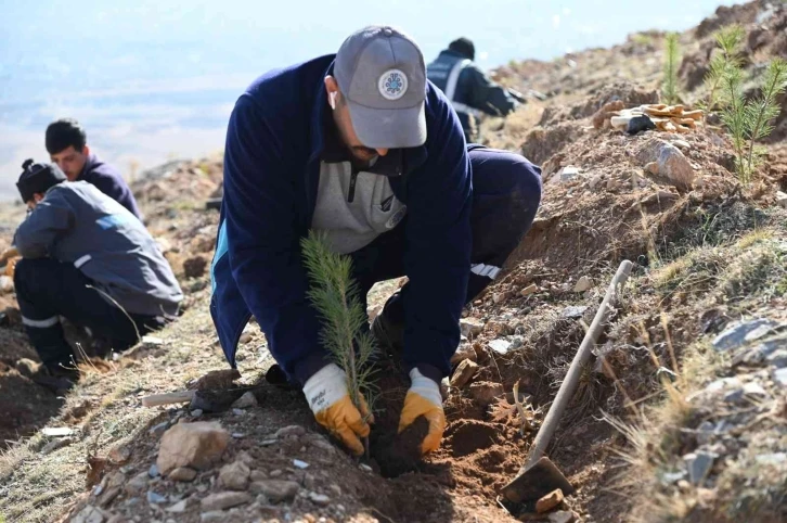 Selçuklu’da yeşil dokuya 22 bin 500 yeni fidan daha kazandırıldı
